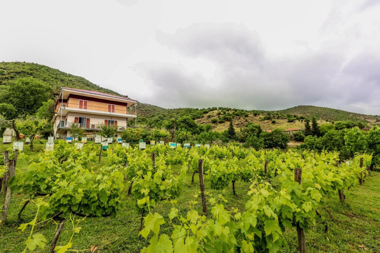 Country Home Genesi 20 Min From Trikala エクステリア 写真