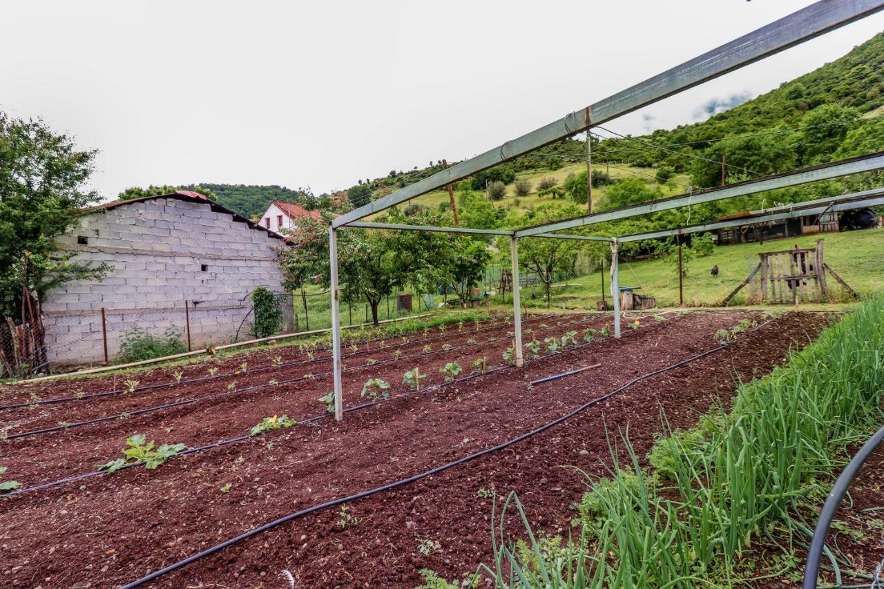 Country Home Genesi 20 Min From Trikala エクステリア 写真