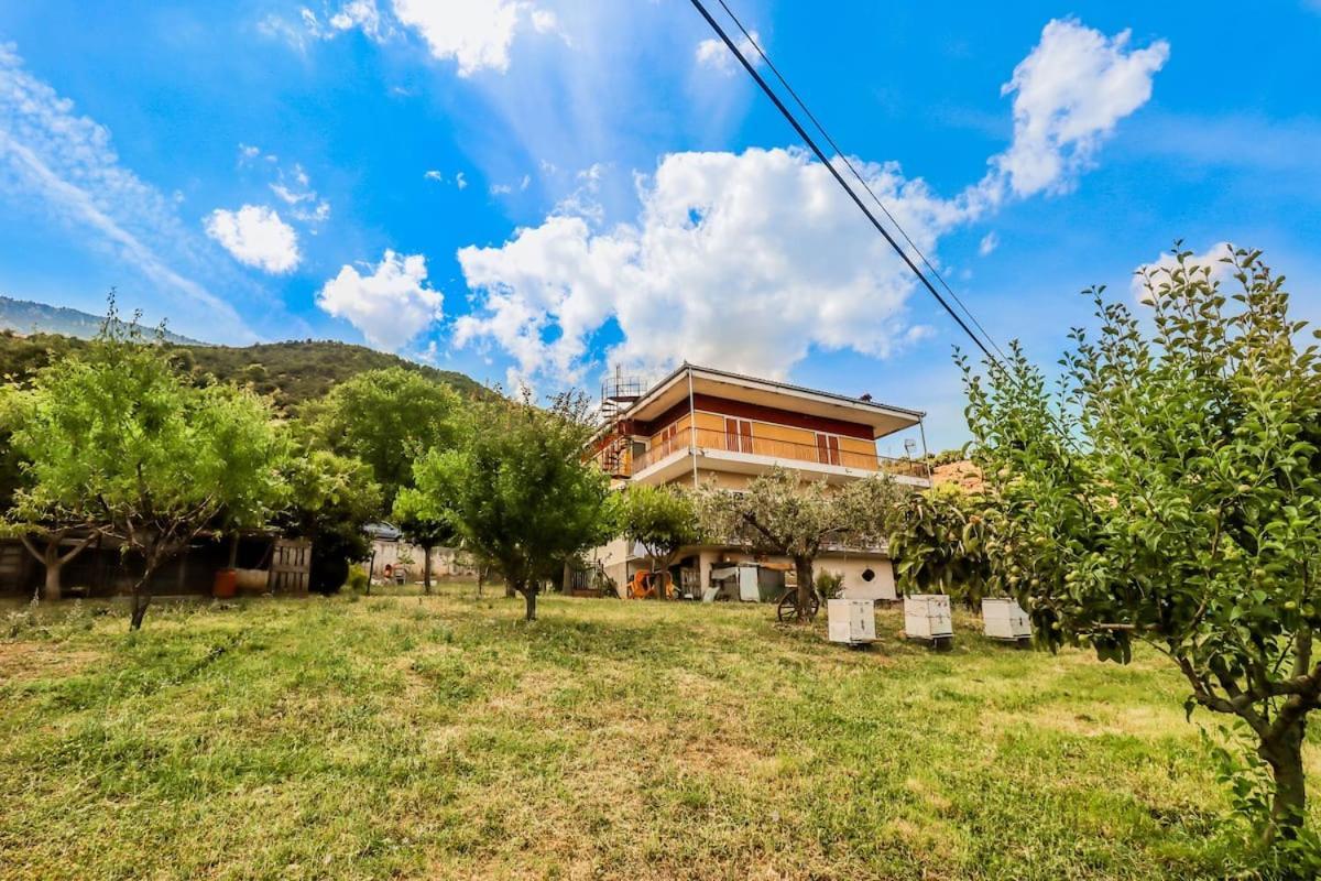 Country Home Genesi 20 Min From Trikala エクステリア 写真