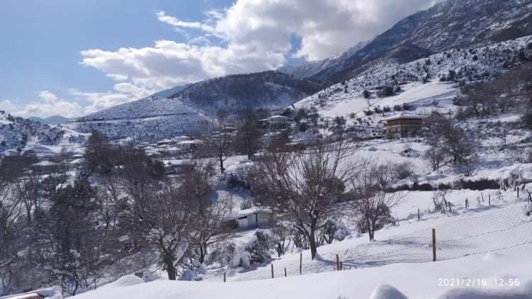 Country Home Genesi 20 Min From Trikala エクステリア 写真