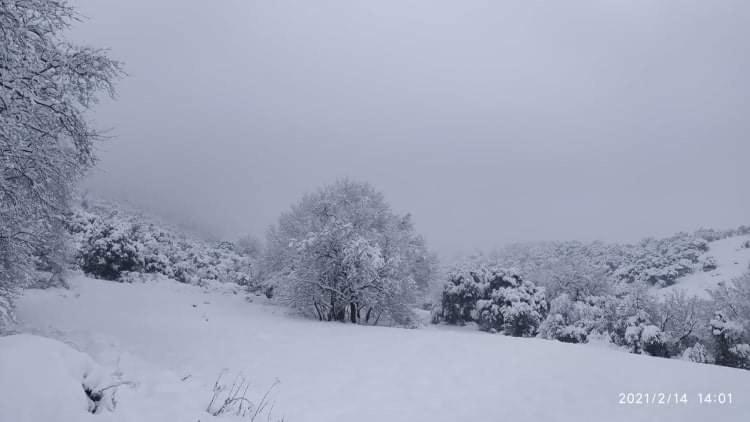 Country Home Genesi 20 Min From Trikala エクステリア 写真