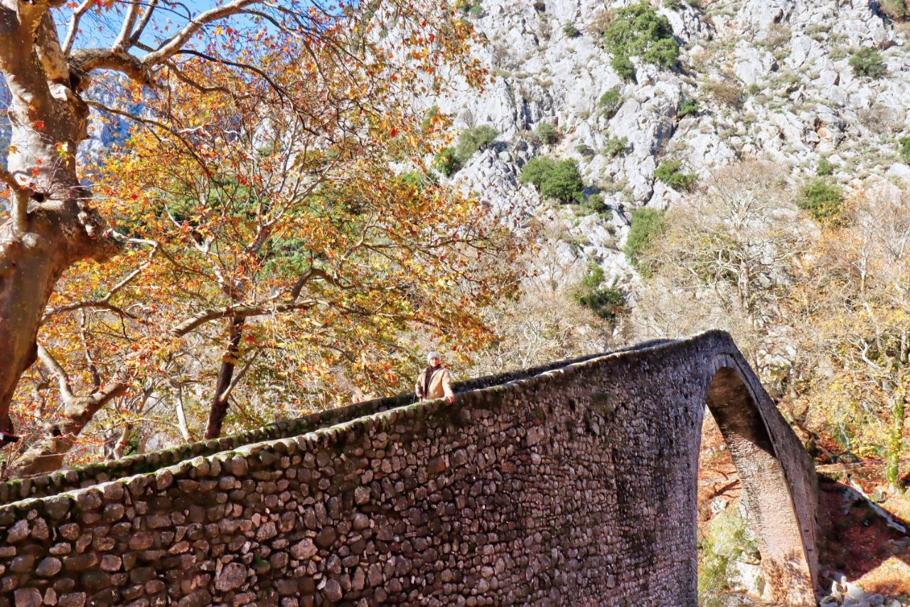 Country Home Genesi 20 Min From Trikala エクステリア 写真