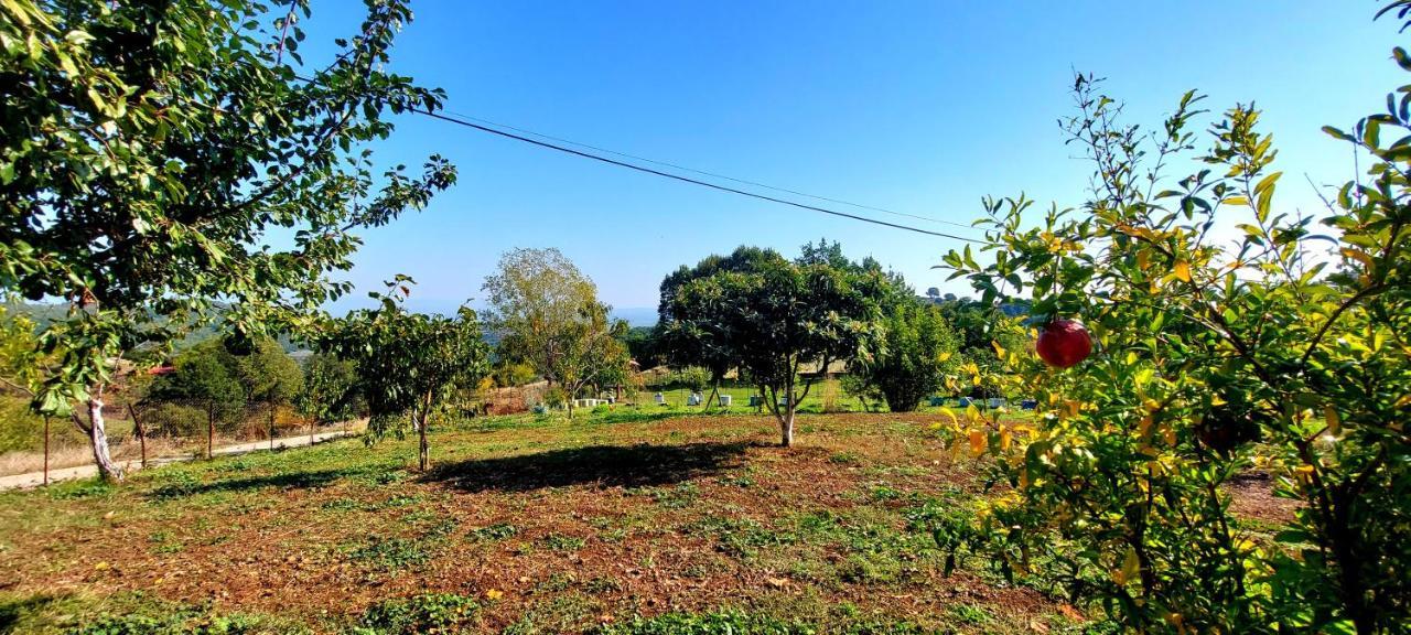 Country Home Genesi 20 Min From Trikala エクステリア 写真