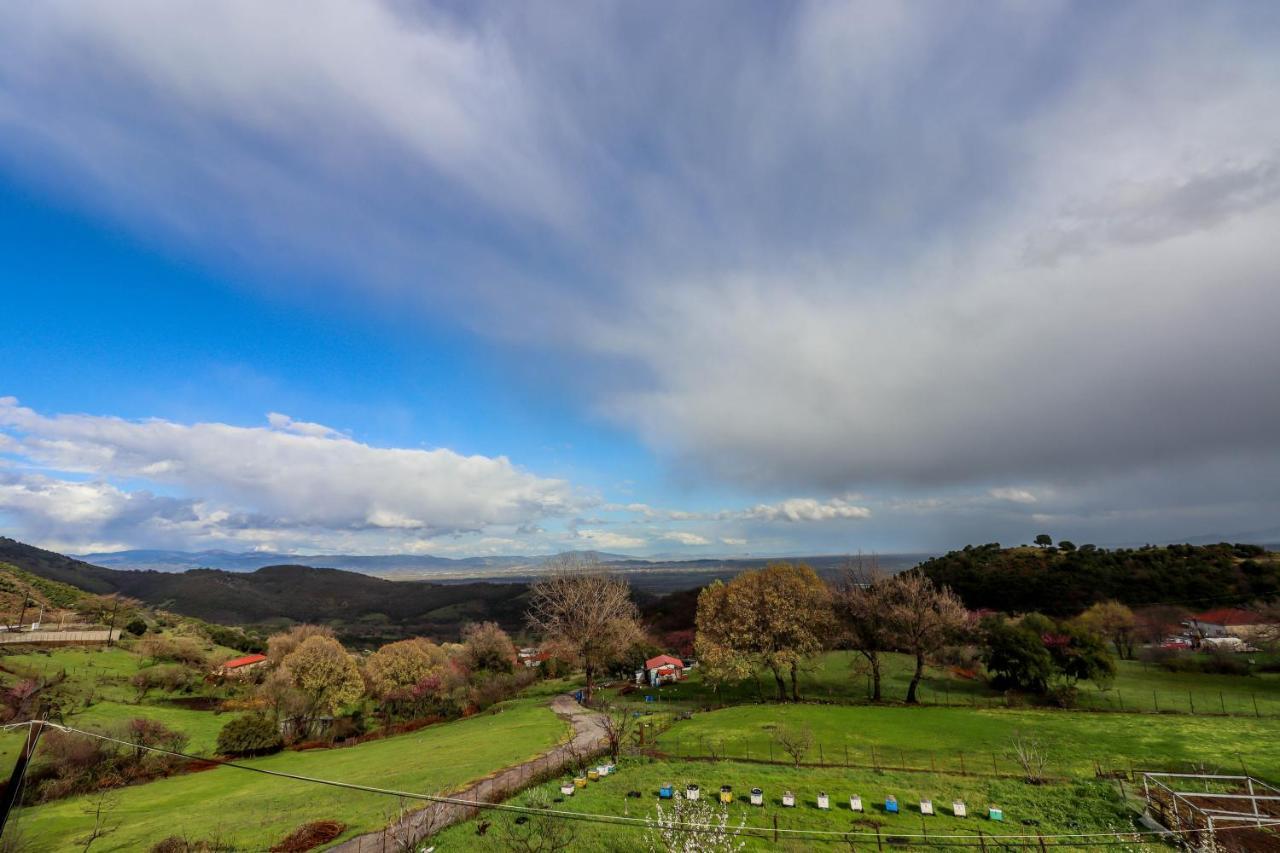 Country Home Genesi 20 Min From Trikala エクステリア 写真