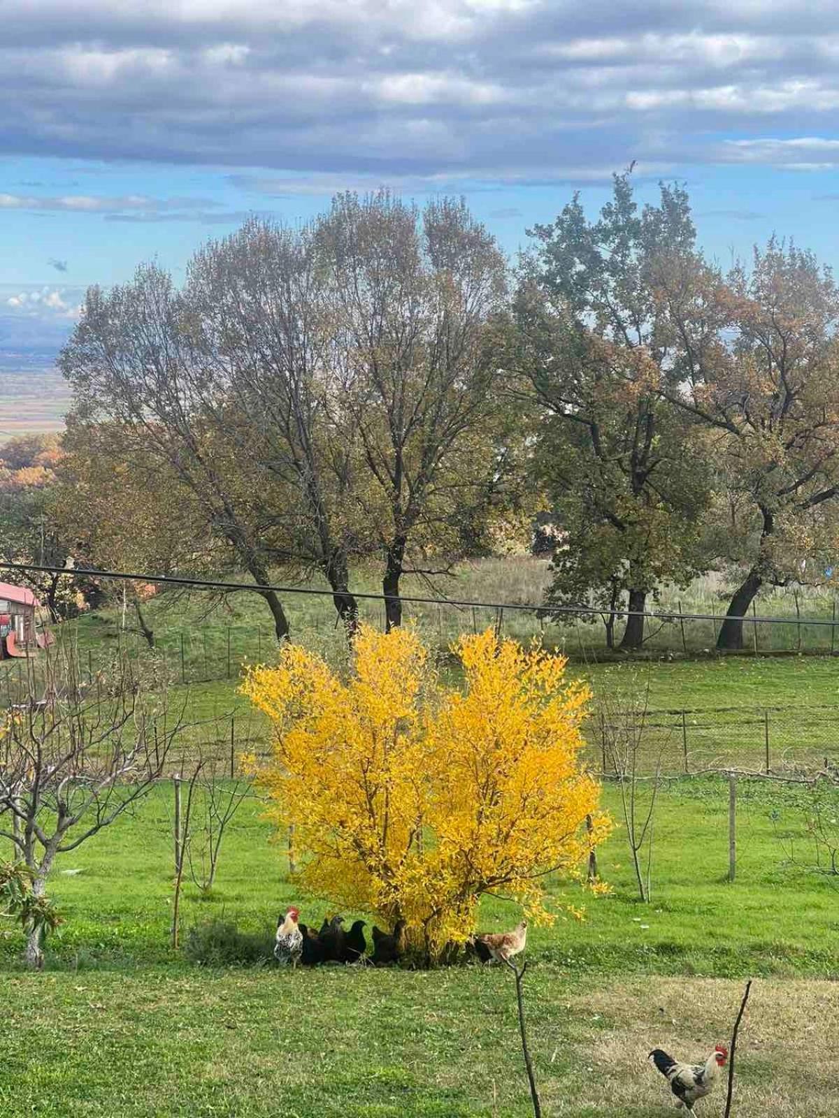Country Home Genesi 20 Min From Trikala エクステリア 写真