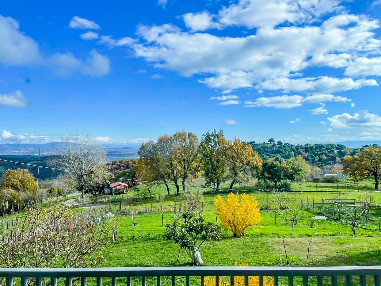 Country Home Genesi 20 Min From Trikala エクステリア 写真