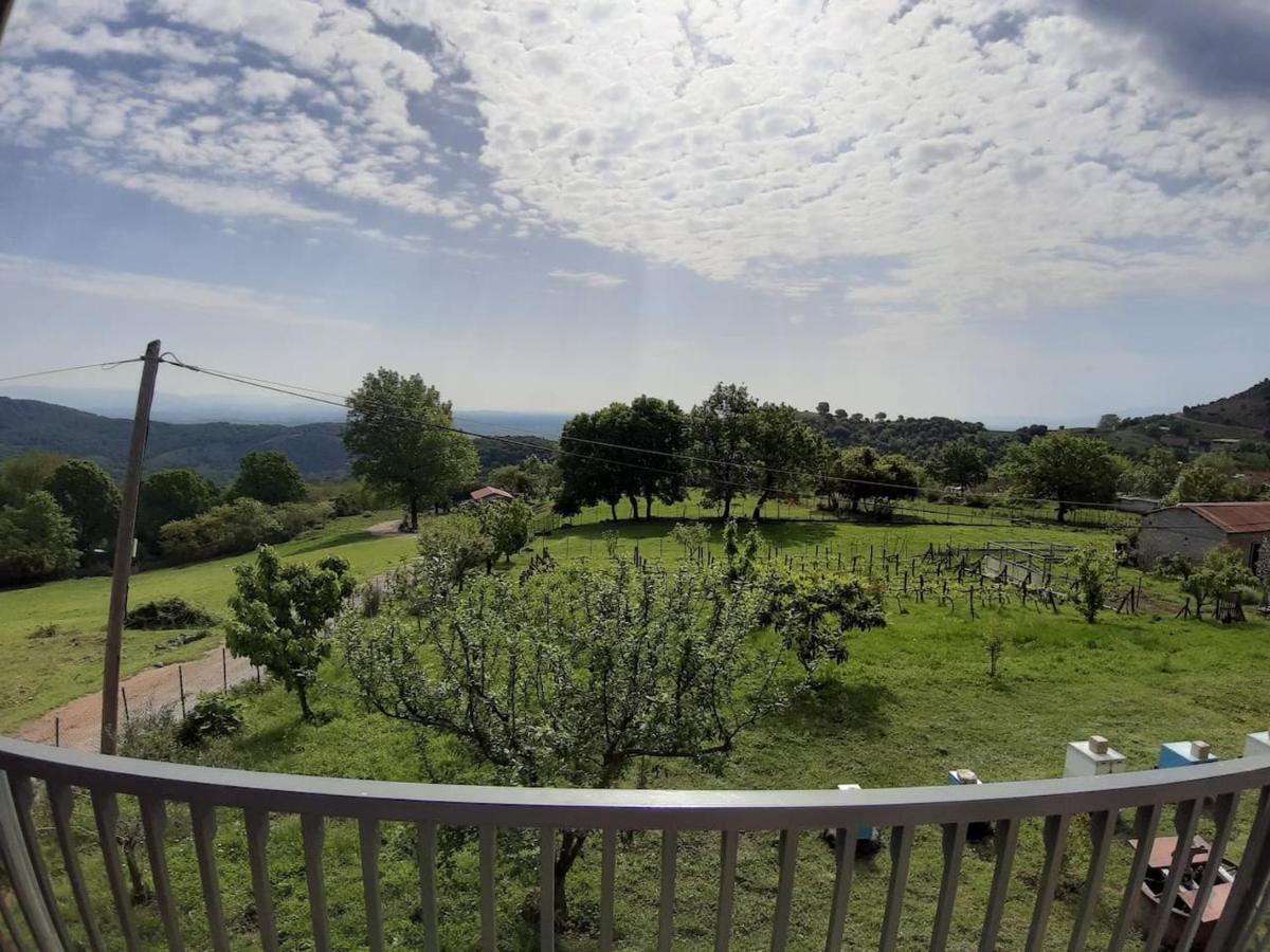 Country Home Genesi 20 Min From Trikala エクステリア 写真