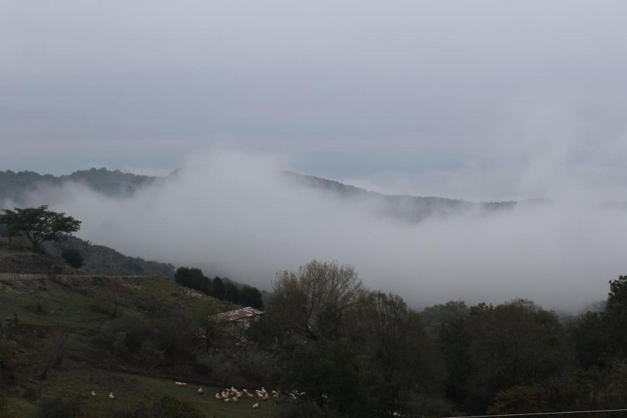 Country Home Genesi 20 Min From Trikala エクステリア 写真