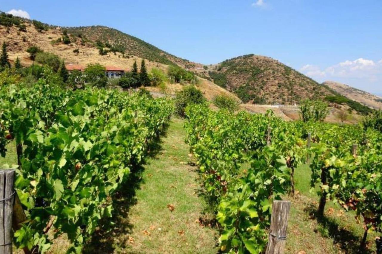 Country Home Genesi 20 Min From Trikala エクステリア 写真