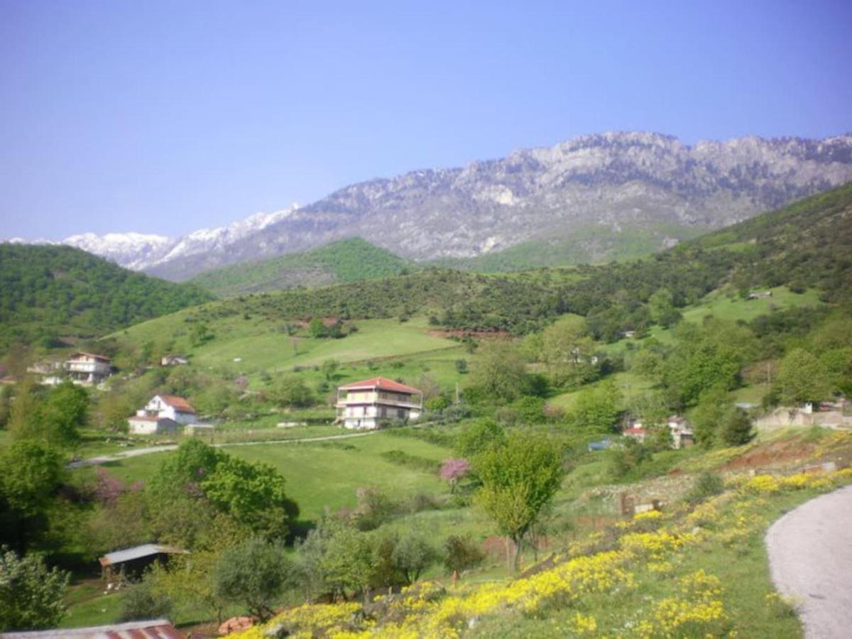 Country Home Genesi 20 Min From Trikala エクステリア 写真