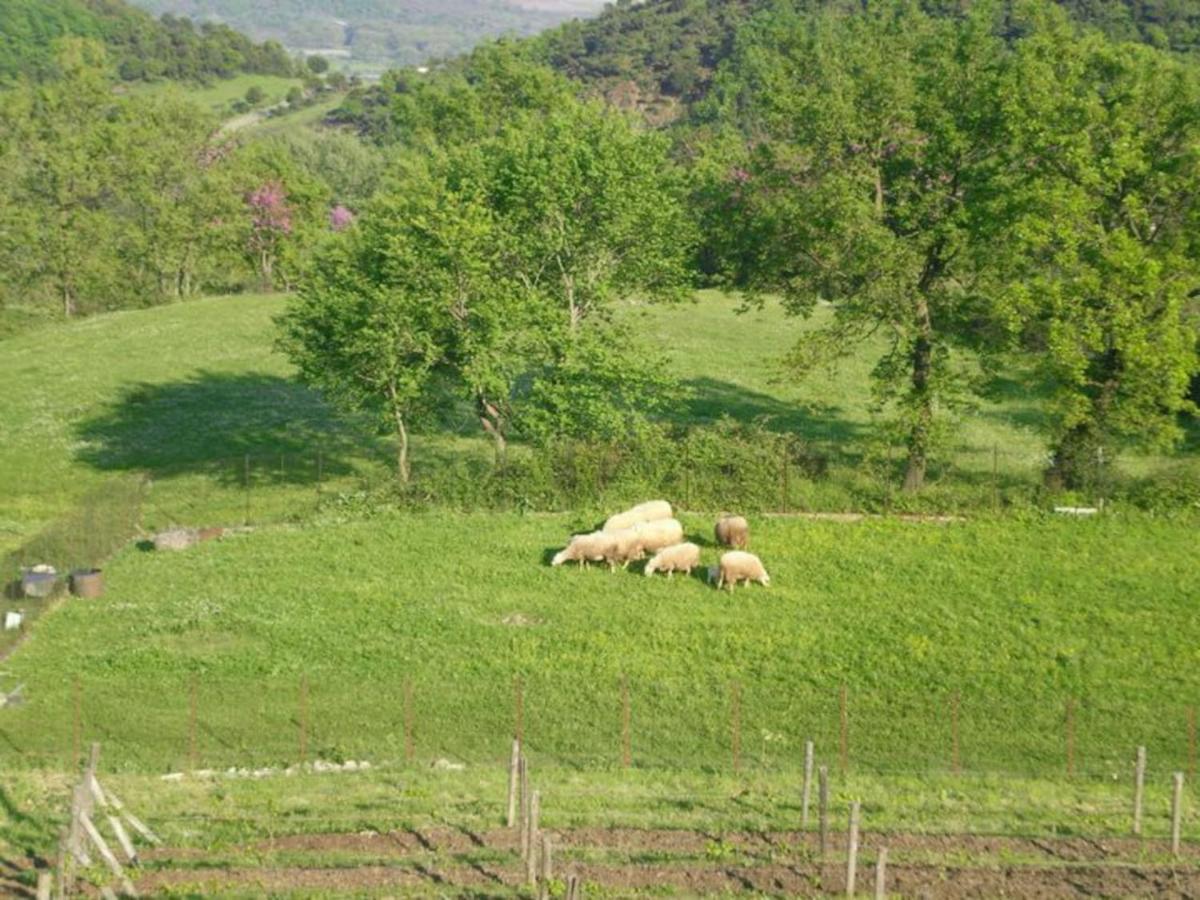 Country Home Genesi 20 Min From Trikala エクステリア 写真
