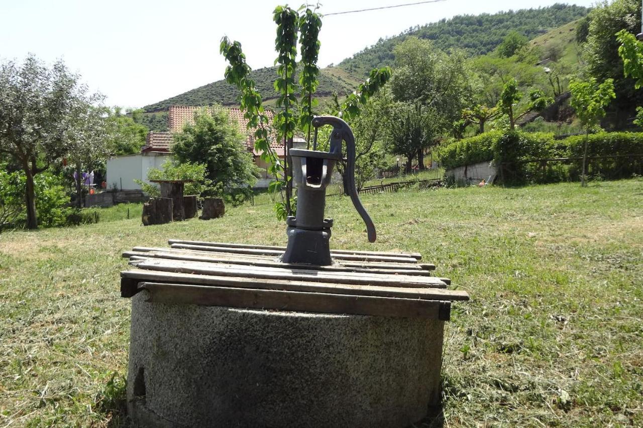 Country Home Genesi 20 Min From Trikala エクステリア 写真