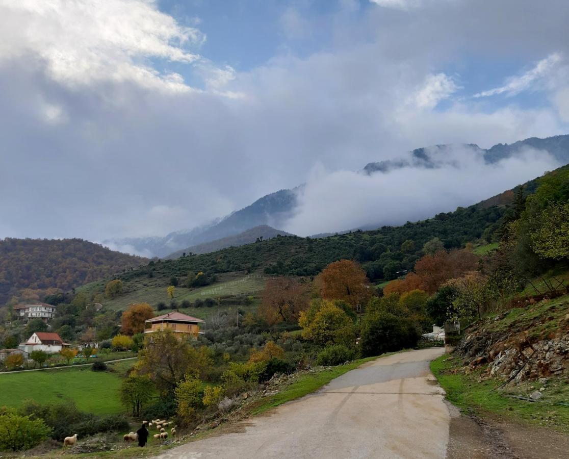 Country Home Genesi 20 Min From Trikala エクステリア 写真